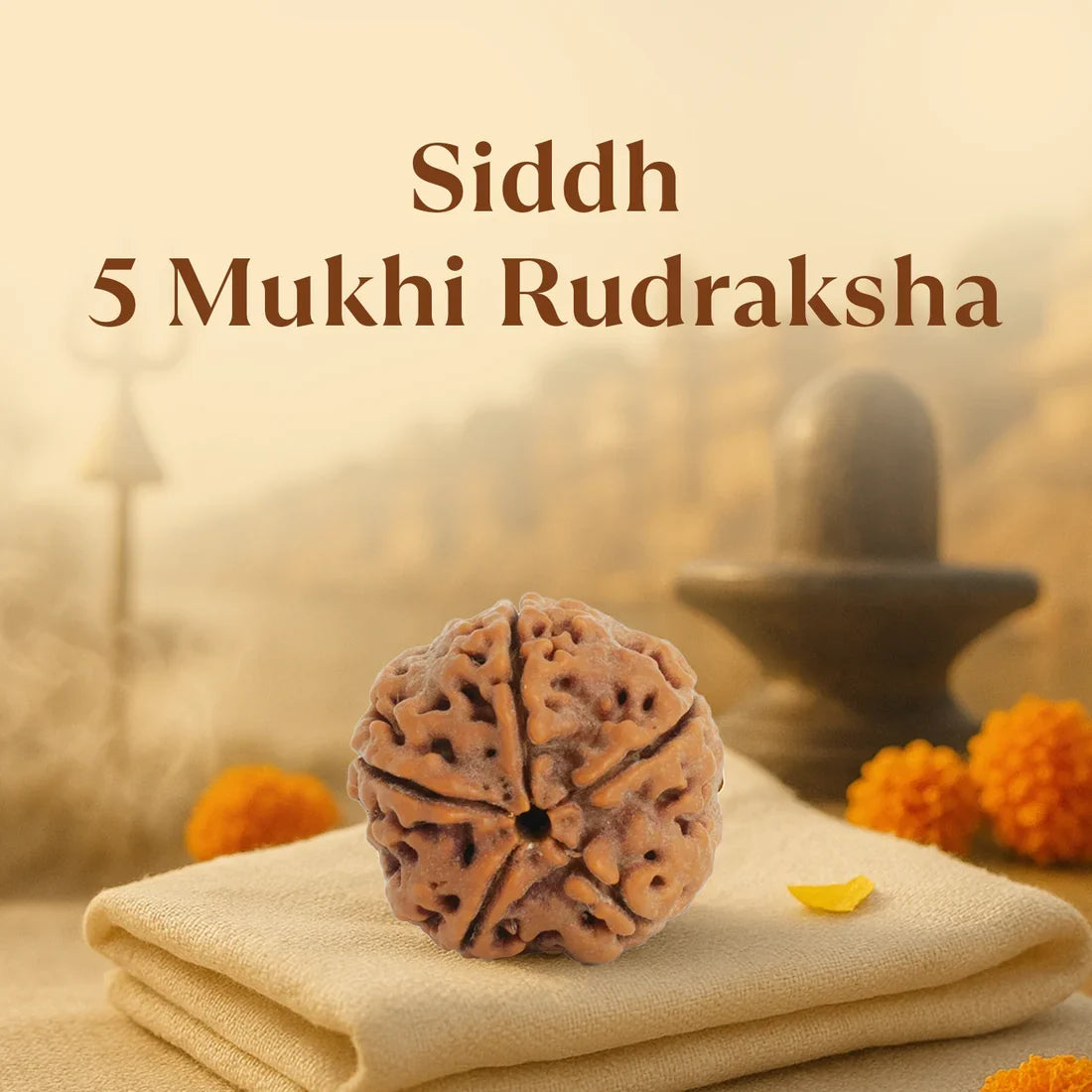 Kashi Siddh Nepal Origin 5 Mukhi Rudraksha - Image 1