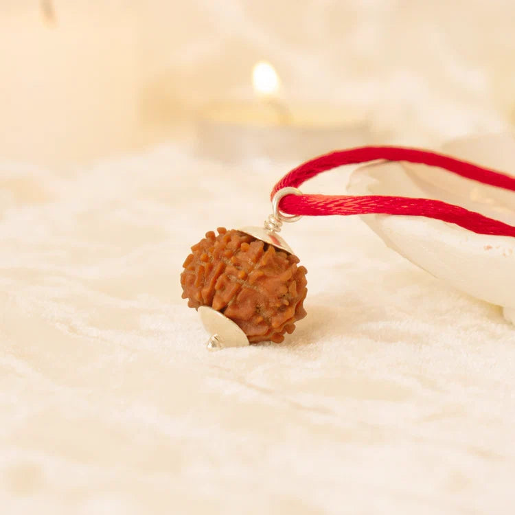 Kashi Siddh Nepal Origin 5 Mukhi Rudraksha - Image 4