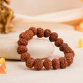 7 Mukhi Rudraksha Bracelet - Image 1