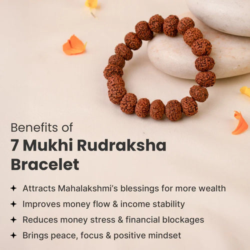 7 Mukhi Rudraksha Bracelet - Image 2