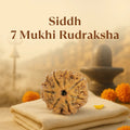 Kashi Siddh Nepal Origin 7 Mukhi Rudraksha - Image 1