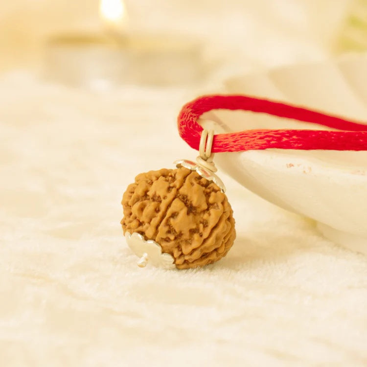 Kashi Siddh Nepal Origin 7 Mukhi Rudraksha - Image 3