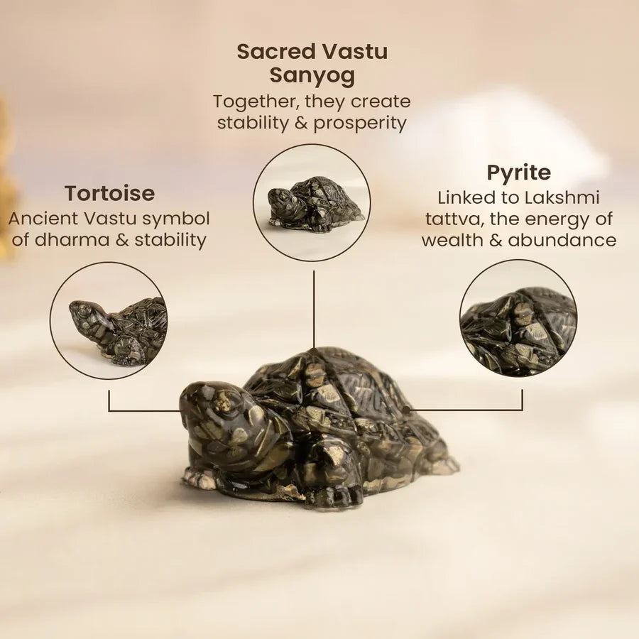 Vastu Pyrite Tortoise (Kachhua) - Image 2