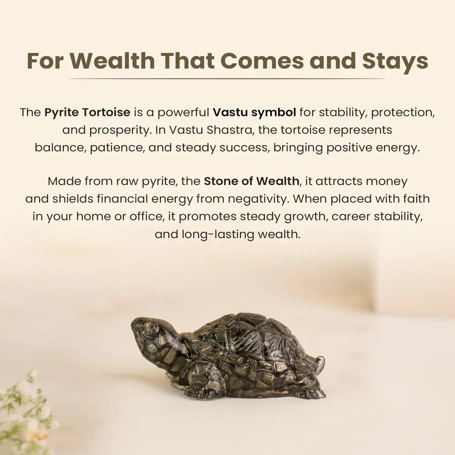 Vastu Pyrite Tortoise (Kachhua) - Image 3