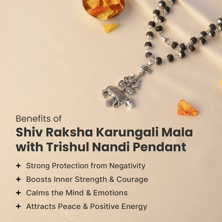 Shiv Raksha Karungali Mala with Trishul Nandi Pendant 152 reviews - Image 3