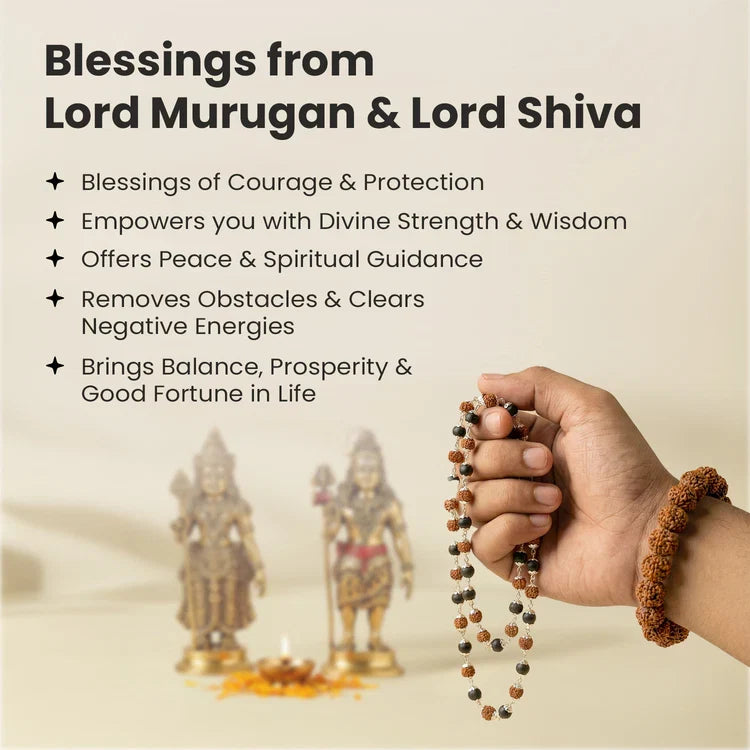 Divya Raksha Rudraksha & Karungali Mala with FREE 7 Mukhi Rudraksha Bracelet - Image 2