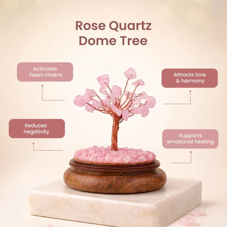 Love Attraction Dome Tree - Image 2