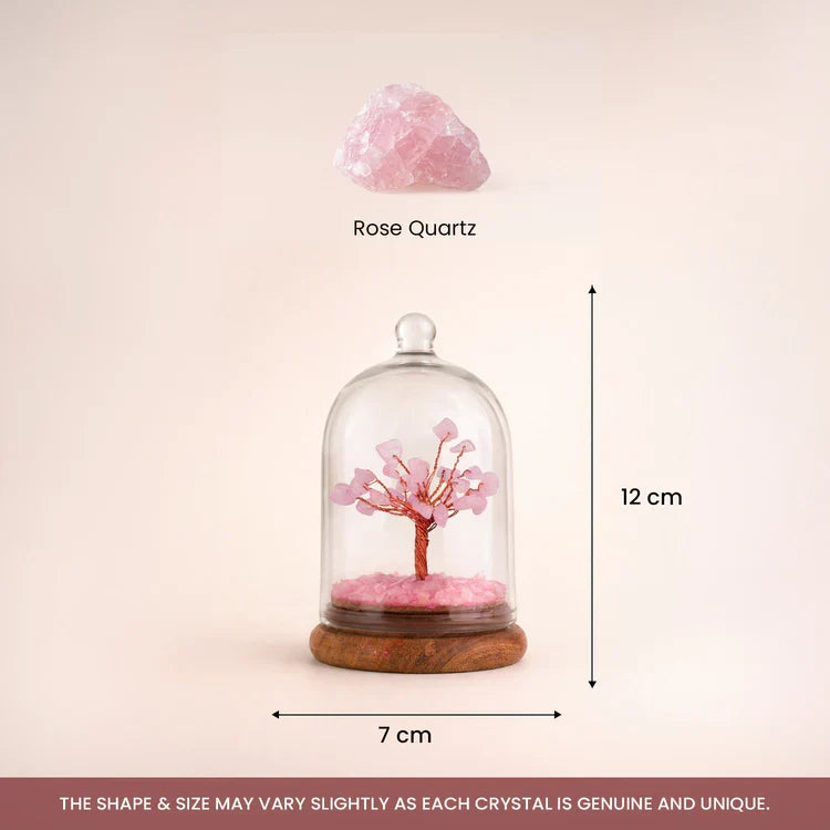 Love Attraction Dome Tree - Image 3