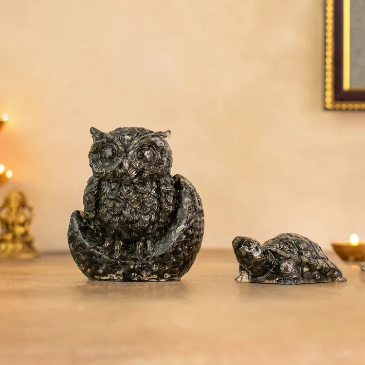 Vastu Pyrite Wealth & Wisdom Combo 96 reviews - Image 1