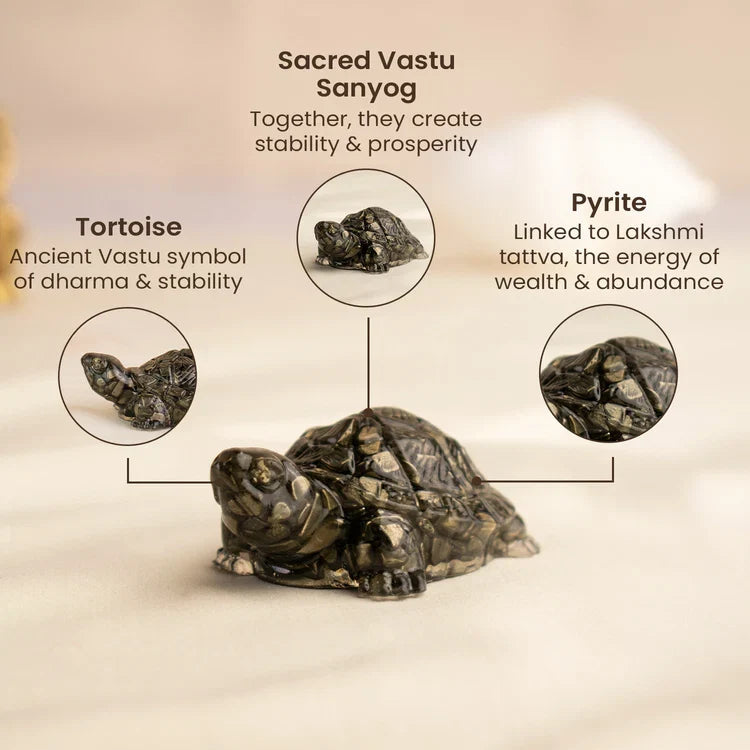 Vastu Pyrite Wealth & Wisdom Combo 96 reviews - Image 2