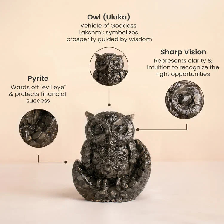 Vastu Pyrite Wealth & Wisdom Combo 96 reviews - Image 3