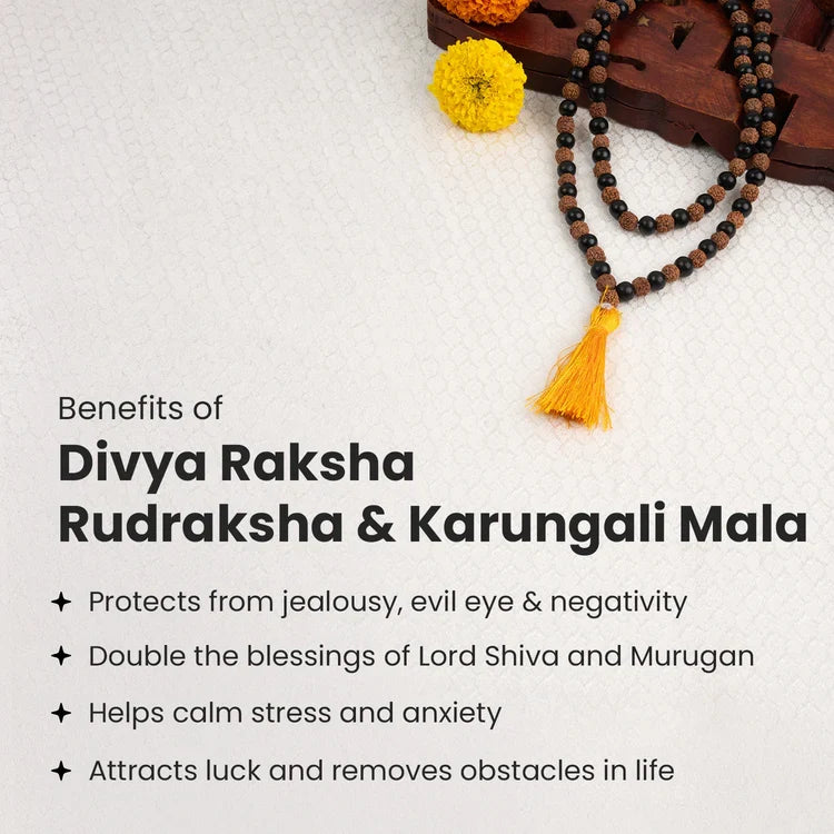Divya Raksha Rudraksha & Karungali Mala 8mm - 108+1 Beads - Image 2