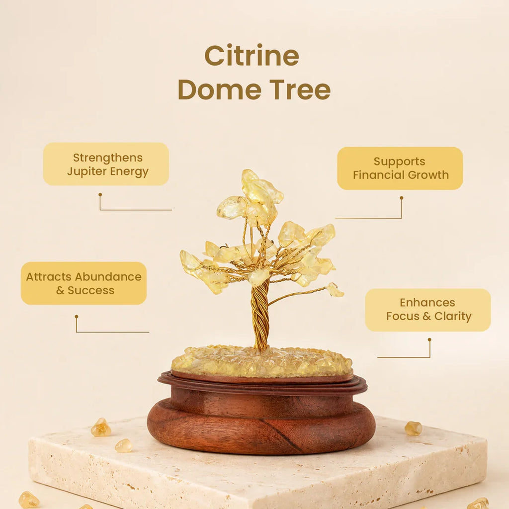 Citirine Dome Trees - Image 2