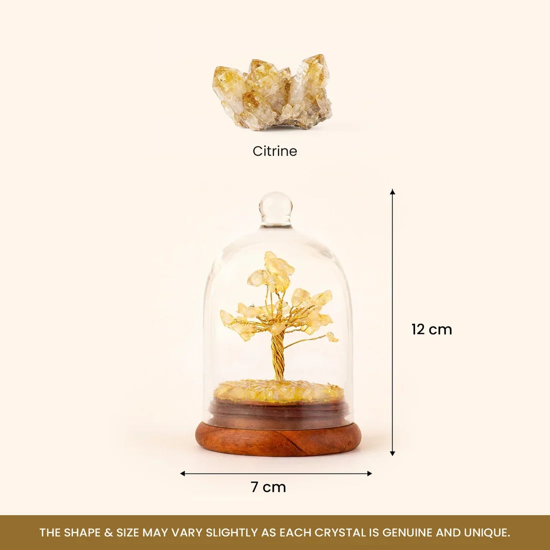 Citirine Dome Trees - Image 3