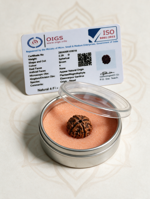 4 Mukhi Rudraksha
