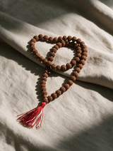 Rudraksha Japa Mala 108+1 Beads