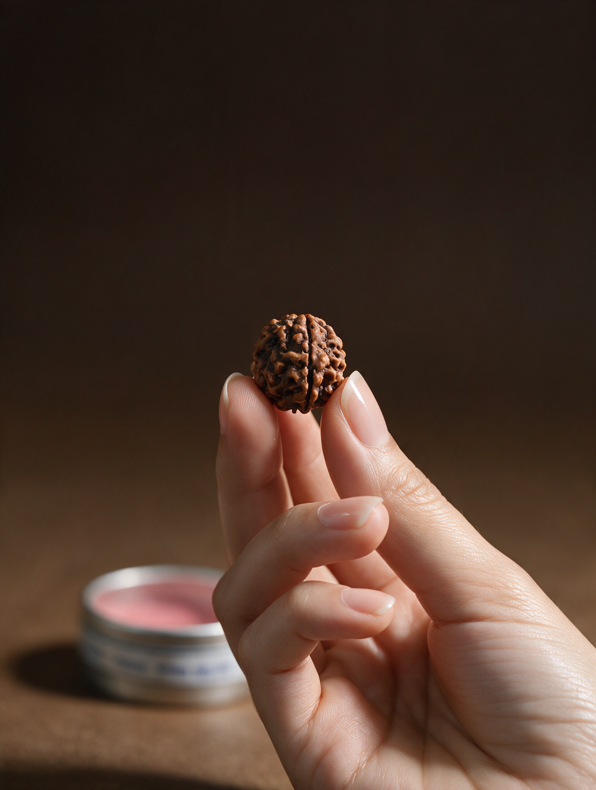 2 Mukhi Rudraksha