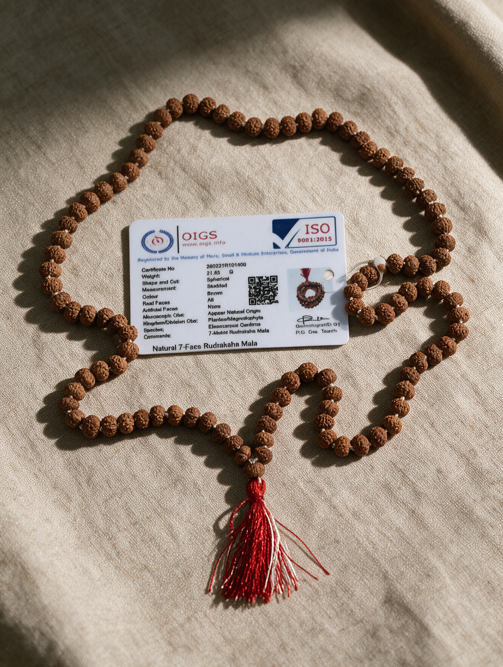 Rudraksha Japa Mala 108+1 Beads