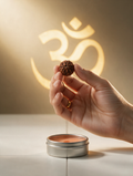 4 Mukhi Rudraksha