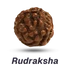 Rudraksha