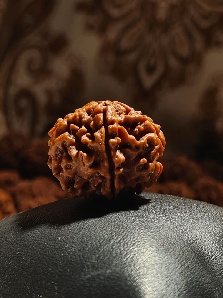 5 Mukhi Rudraksha